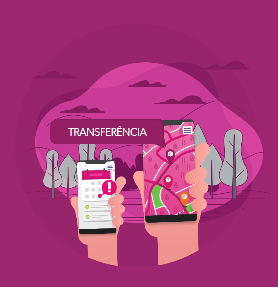 Transferência - O grande dia!